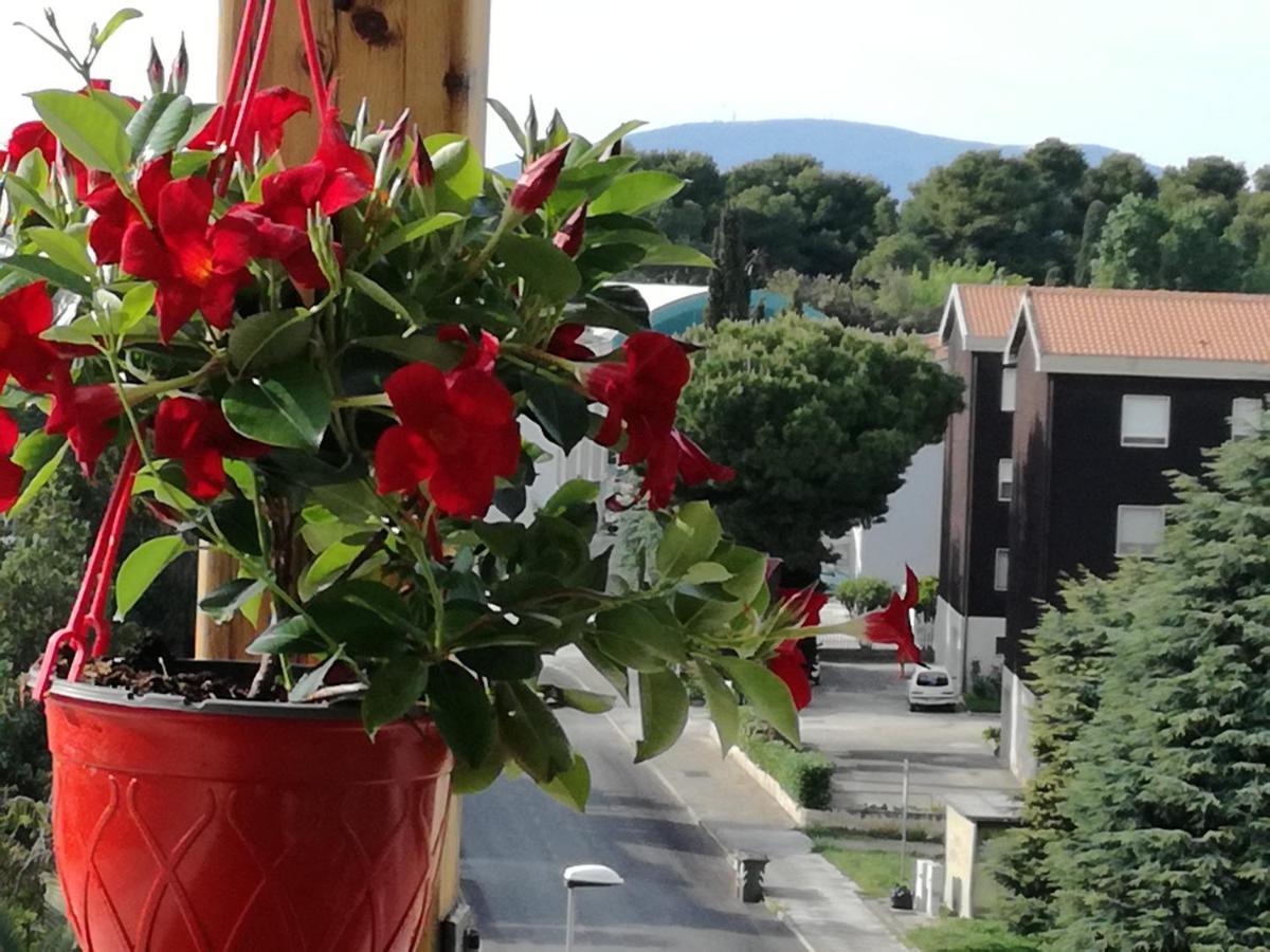 Nel Blu Dipinto Di Blu Daire Porto Recanati Dış mekan fotoğraf